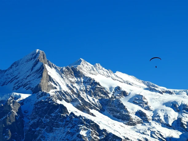 Gleitschirmflieger ĂĽber Grindelwald.