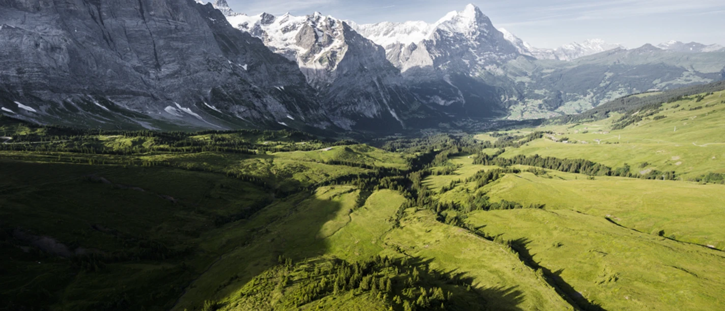 Blick auf Grindelwald