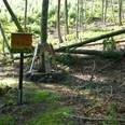 Buchenwald
