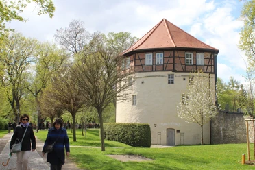 Rondell Aschersleben