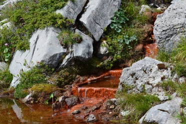 Fascination de la source ferrugineuse
