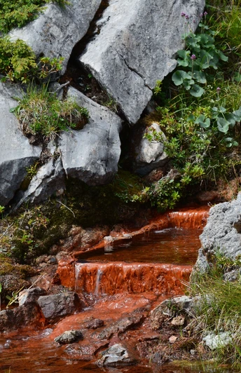 Faszination der eisenhaltigen Quelle