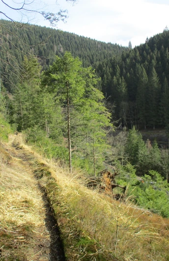 Great route towards Lautenthal