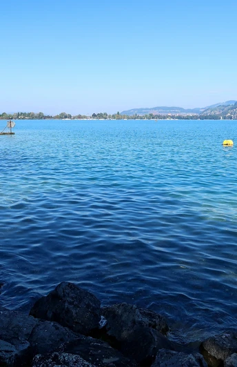 Prairie lacustre près d'Einigen.
