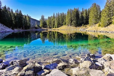 Brandsee