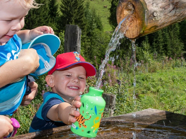 Der Tränenbrunnen des Riesen Spillgerts