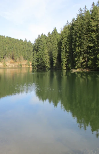 The Grumbacher Pond - one of many ponds on the circular route