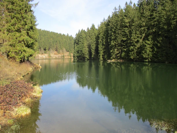 Der Grumbacher Teich - einer von vielen Teichen auf der Rundtour