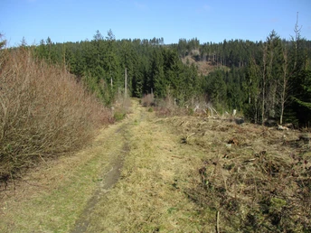 Flowing single-trails in the Spiegeltal
