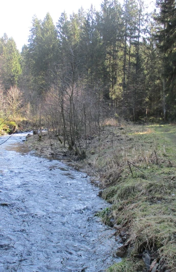 Beautiful trails by the water