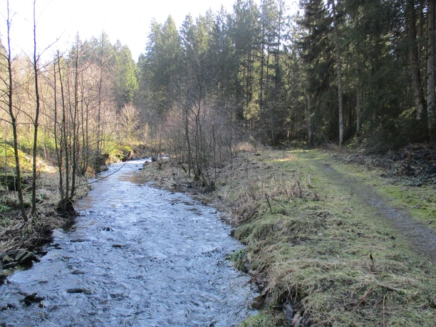 Schöne Trails am Wasser