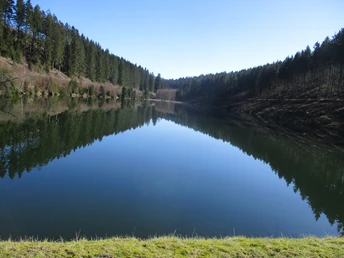 Unterer Spiegeltaler Teich
