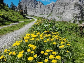 Grimmialp Panoramaweg