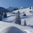 Paysage hivernal sur l'Alp Ottenschwand