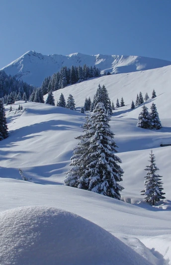 Paysage hivernal sur l'Alp Ottenschwand