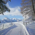 Winterwanderweg mit Blick auf Talabschluss
