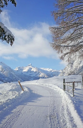 Winterwanderweg mit Blick auf Talabschluss