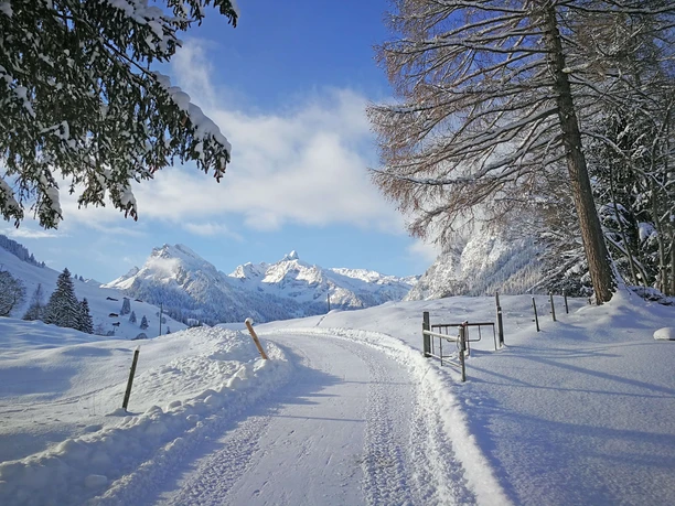 Winter hiking trail with a view of the valley end