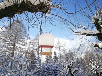 Schneereicher Schnappschuss beim Hotel Kurhaus Grimmialp