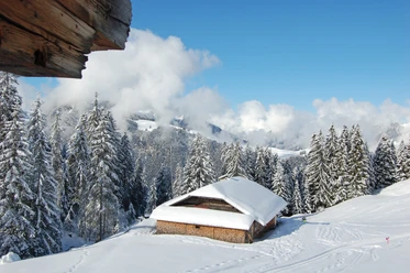 View from Ottenschwand