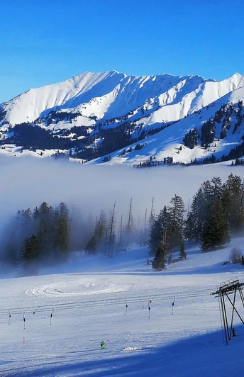 Faszinierende Weitsicht auf Niesenkette