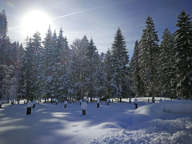 Snow-covered winter wonderland in the Anger