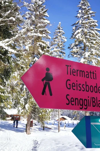 Signalisation des parcours de ski de fond et des sentiers de randonnée hivernale