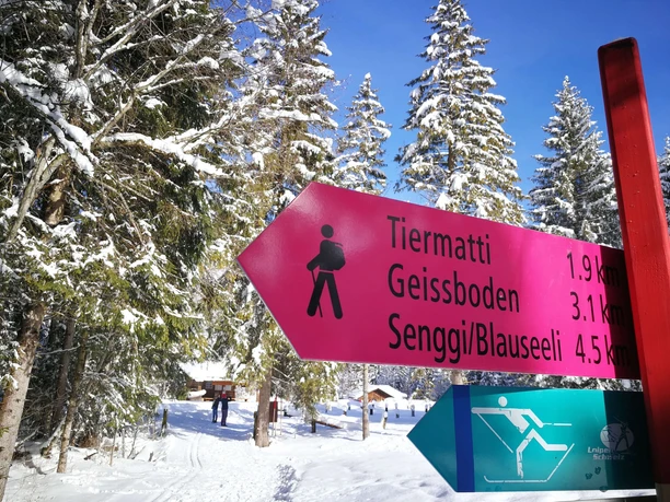 Signage for cross-country ski trails and winter hiking paths