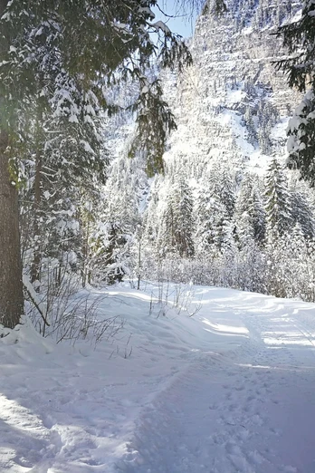 Piste Wiriehorn variée