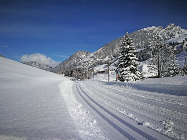 Discover Grimmialp on cross-country skis