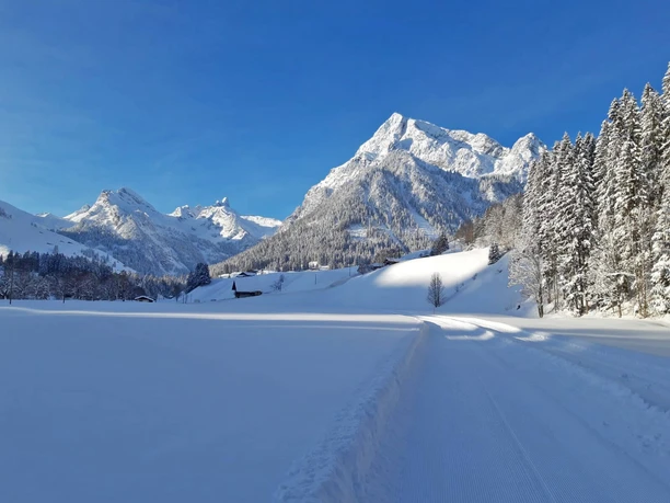 Cross-country skiing with breathtaking views