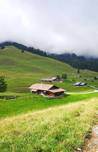 Alp Tschuggen vom Nebel umgeben