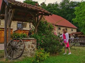 Schäferhof Langenstein, Stefan Herfurth