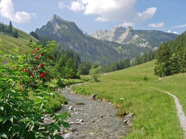 Starting point at Senggiweid