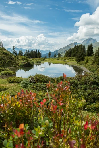 Schwarzwaldalp-Gr Scheidegg