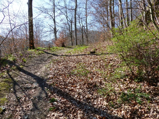 Schöne Trails zurück nach Bad Harzburg