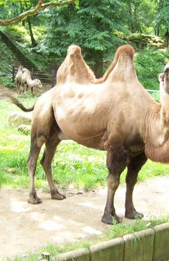 Tierpark Halberstadt