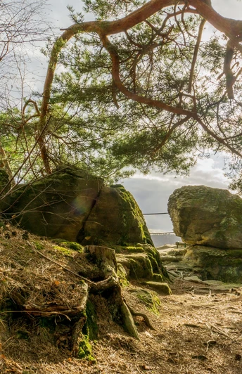 Fuchsklippe, Stefan Herfurth