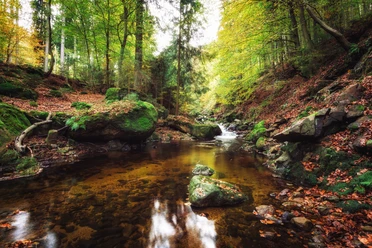Ilsetal