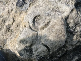 Lichtträger im Krähenhüttenfelsen