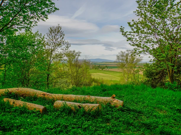 Brockenblick, Stefan Herfurth