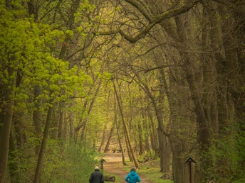 Wanderer auf den Wefg durch die Klusberge, Stefan Herfurth