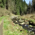 Trail im Radautal