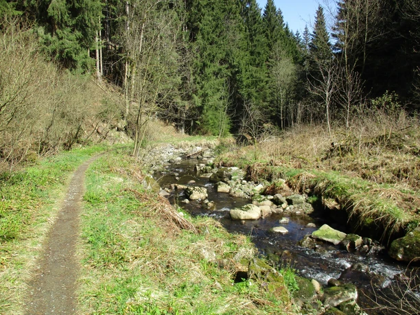 Trail im Radautal