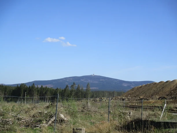 Brockenblick am Diabas Steinbruch