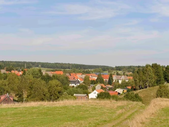 Blick auf Benneckenstein