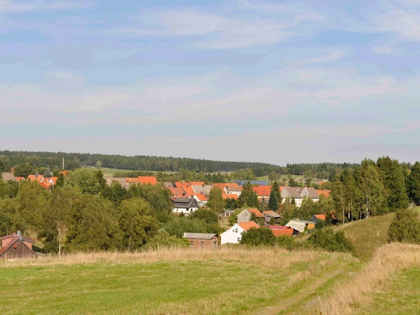 Blick auf Benneckenstein