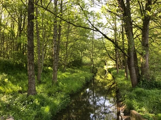 Goldbach