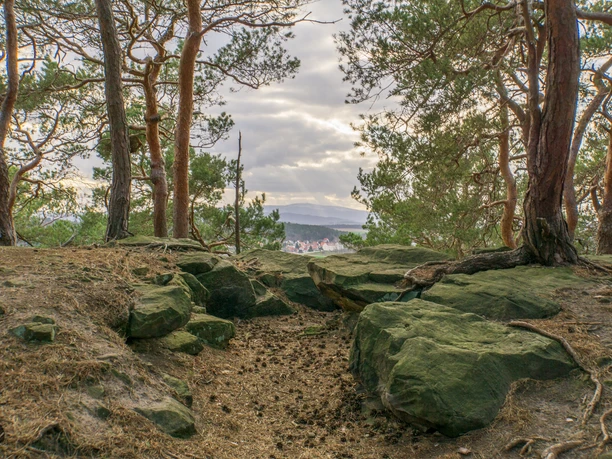 Brockenblick über Langenstein von den Thekenbergen, Stefan Herfurth