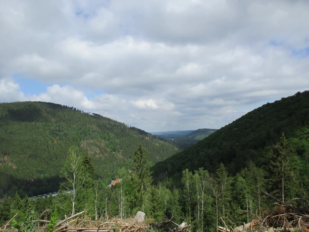 Aussicht ins Okertal